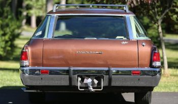 1973 Pontiac Catalina full