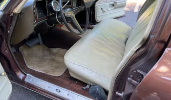 1973 Pontiac Catalina full